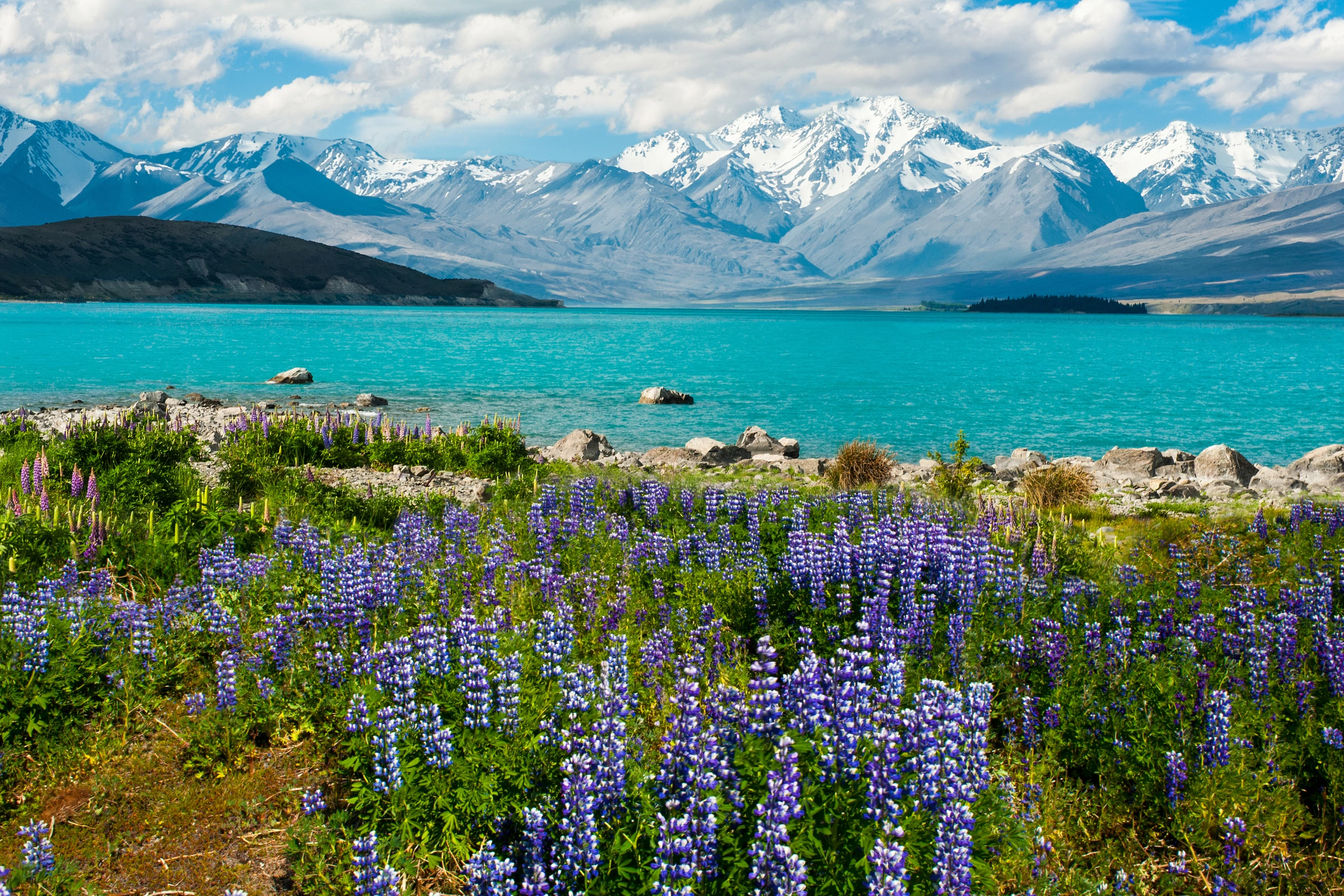 Lake_Tekapo[1].webp